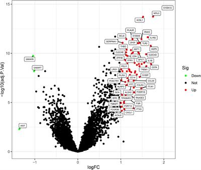 Integrated Bioinformatics-Based Analysis of Hub Genes and the Mechanism of Immune Infiltration Associated With Acute Myocardial Infarction